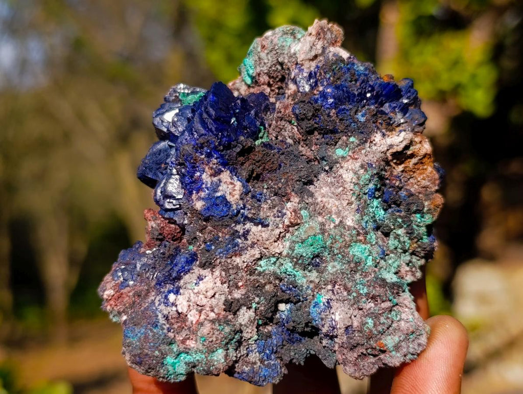 Natural Ultra Rare Azurite Specimen with Malachite on Dolomite x 1 From Mashamba East Mine, Congo