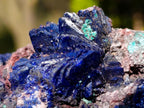 Natural Ultra Rare Azurite Specimen with Malachite on Dolomite x 1 From Mashamba East Mine, Congo