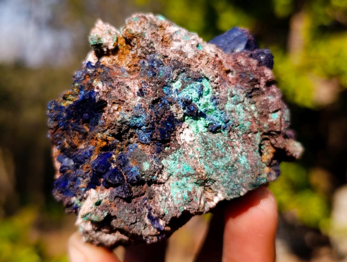 Natural Ultra Rare Azurite Specimen with Malachite on Dolomite x 1 From Mashamba East Mine, Congo