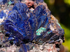 Natural Ultra Rare Azurite Specimen with Malachite on Dolomite x 1 From Mashamba East Mine, Congo