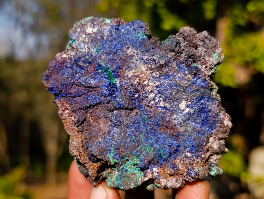 Natural Ultra Rare Azurite Specimen with Malachite on Dolomite x 1 From Mashamba East Mine, Congo