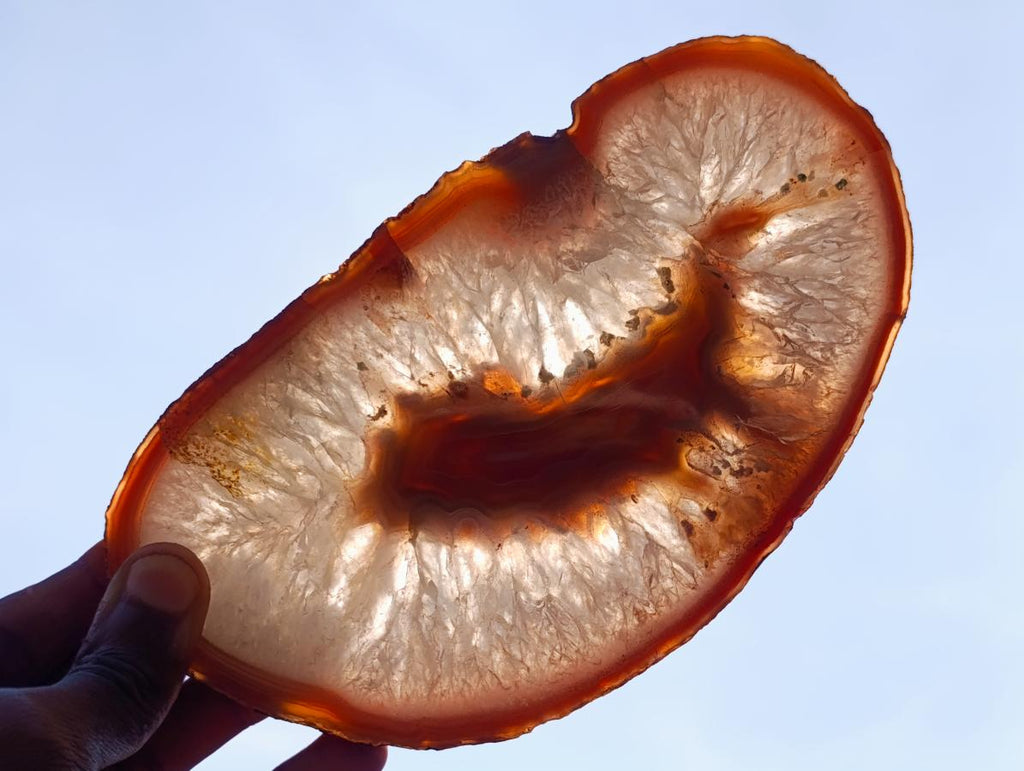 Polished Matching Trio of Red Shashe River Agate Slices with Natural Edging x 1 From Shashe River, Zimbabwe