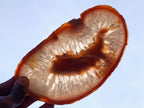 Polished Matching Trio of Red Shashe River Agate Slices with Natural Edging x 1 From Shashe River, Zimbabwe