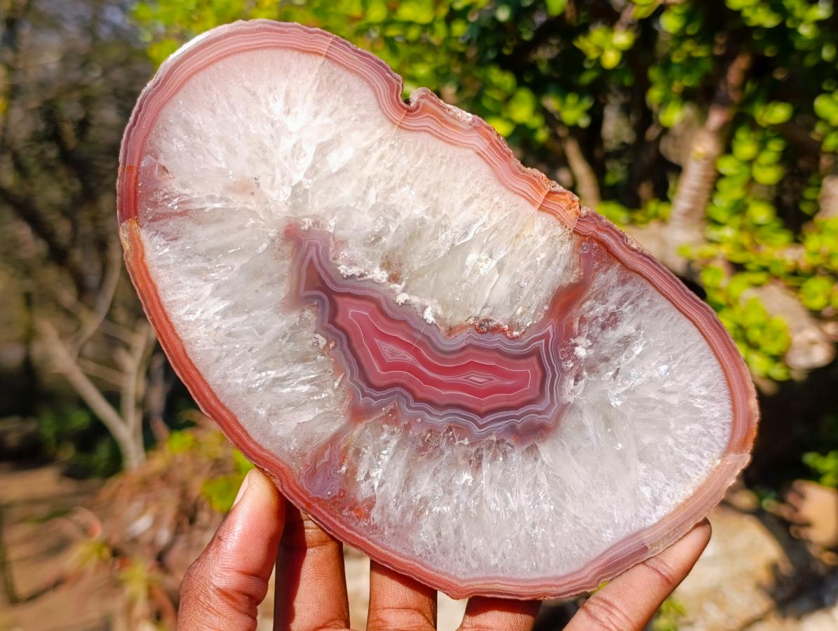 Polished Matching Trio of Red Shashe River Agate Slices with Natural Edging x 1 From Shashe River, Zimbabwe