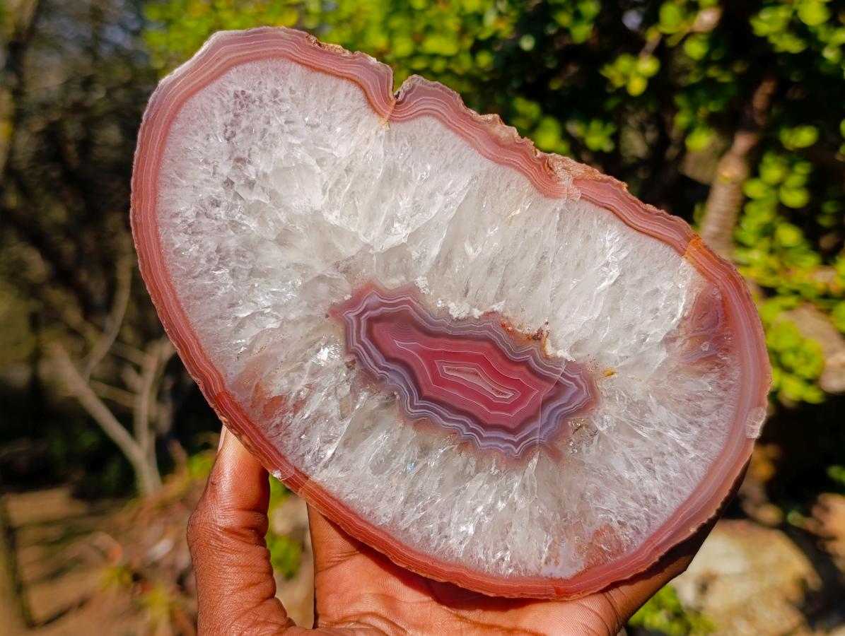 Polished Matching Trio of Red Shashe River Agate Slices with Natural Edging x 1 From Shashe River, Zimbabwe