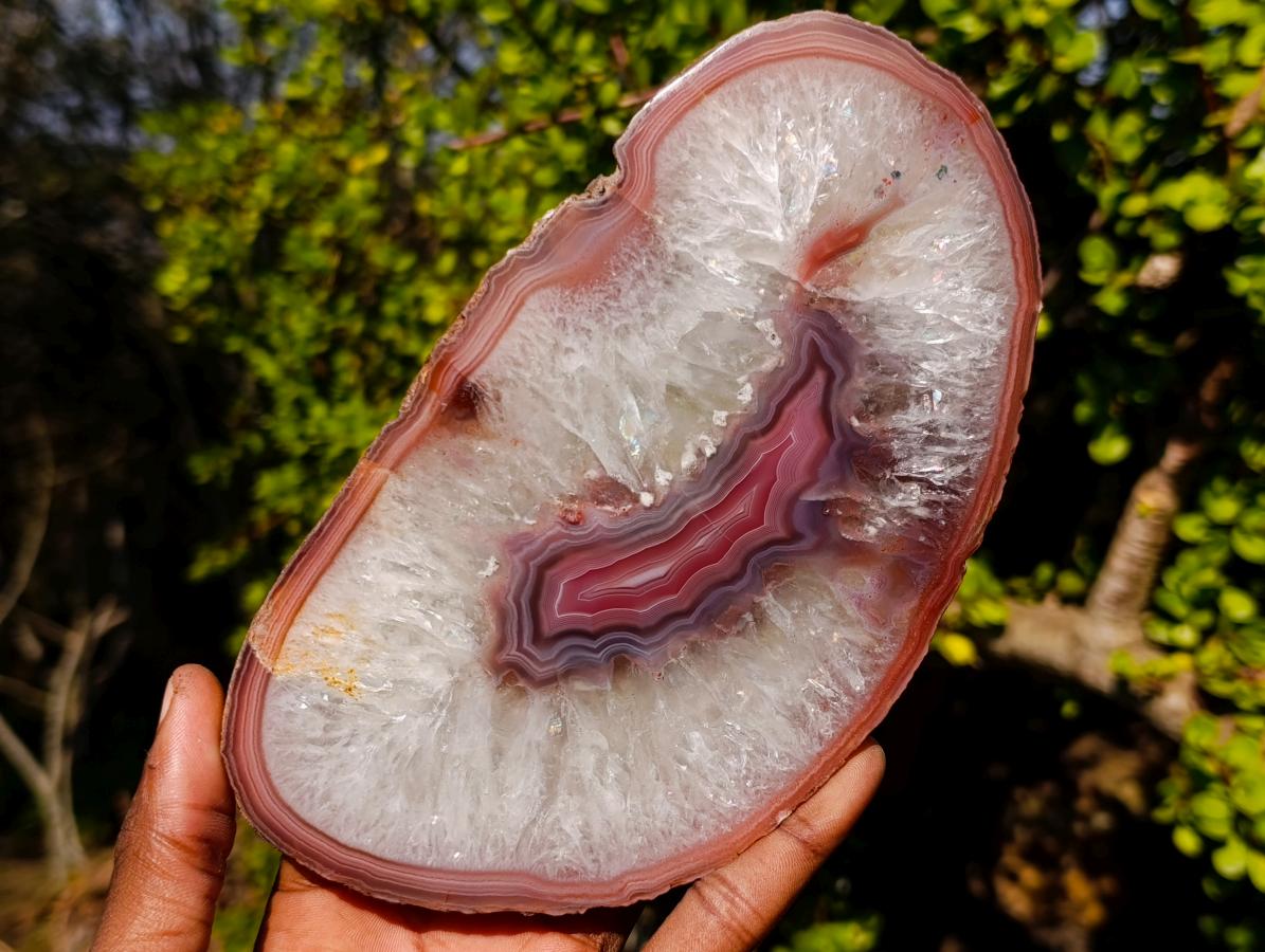 Polished Matching Trio of Red Shashe River Agate Slices with Natural Edging x 1 From Shashe River, Zimbabwe