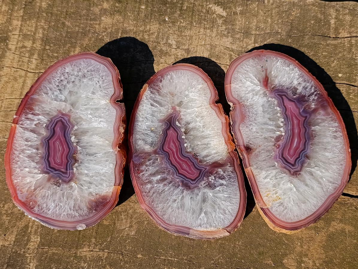 Polished Matching Trio of Red Shashe River Agate Slices with Natural Edging x 1 From Shashe River, Zimbabwe