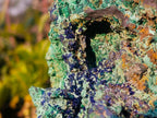 Natural XL Azurite Specimen with Cuprite and Malachite x 1 From Mashamba East Mine, Congo
