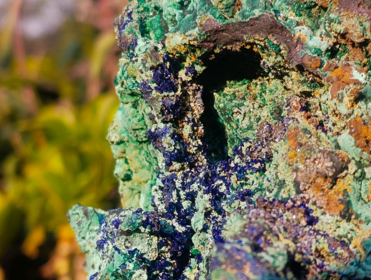 Natural XL Azurite Specimen with Cuprite and Malachite x 1 From Mashamba East Mine, Congo