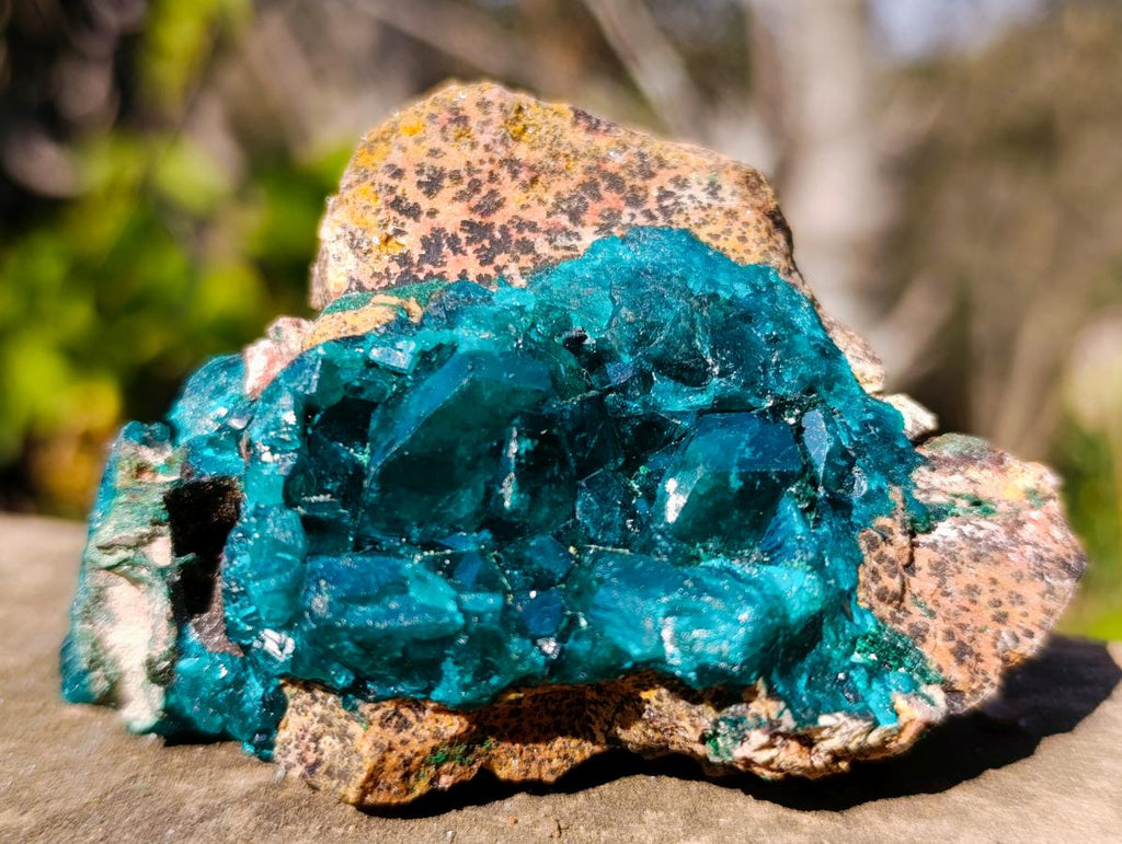 Natural Cabinet Size Dioptase Specimen on Dolomite Matrix x 1 From Mashamba East, Congo