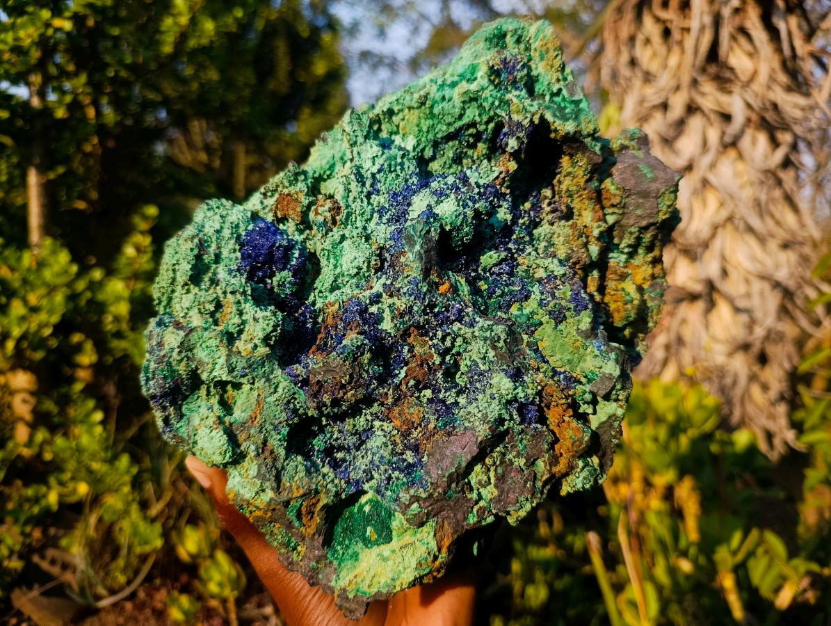Natural XL Azurite Specimen with Cuprite and Malachite x 1 From Mashamba East Mine, Congo