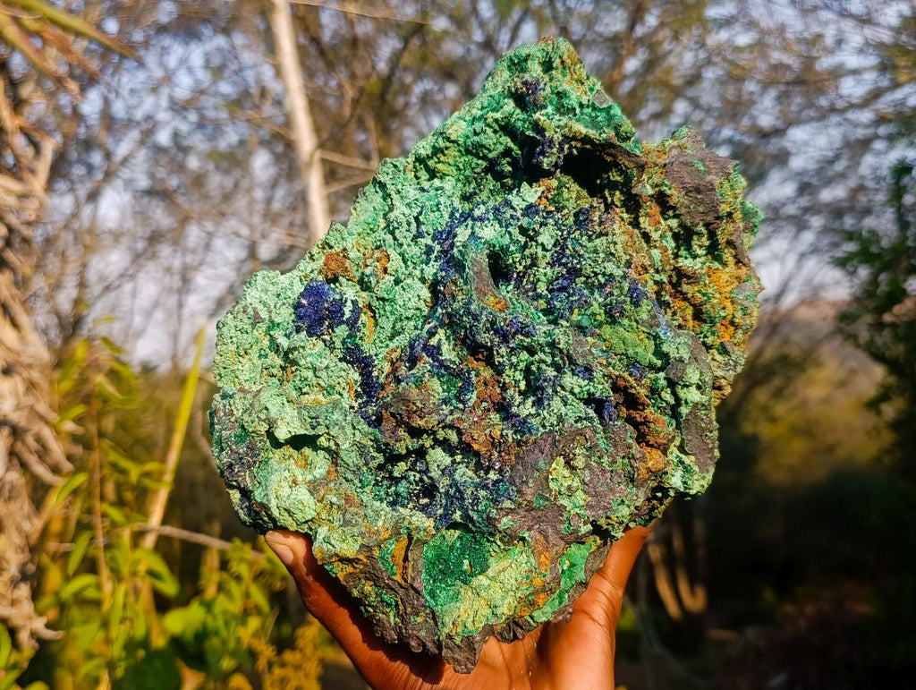 Natural XL Azurite Specimen with Cuprite and Malachite x 1 From Mashamba East Mine, Congo