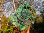 Natural XL Azurite Specimen with Cuprite and Malachite x 1 From Mashamba East Mine, Congo