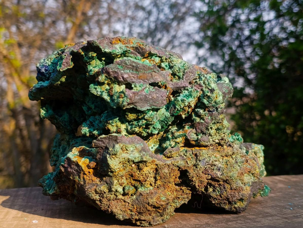 Natural XL Azurite Specimen with Cuprite and Malachite x 1 From Mashamba East Mine, Congo