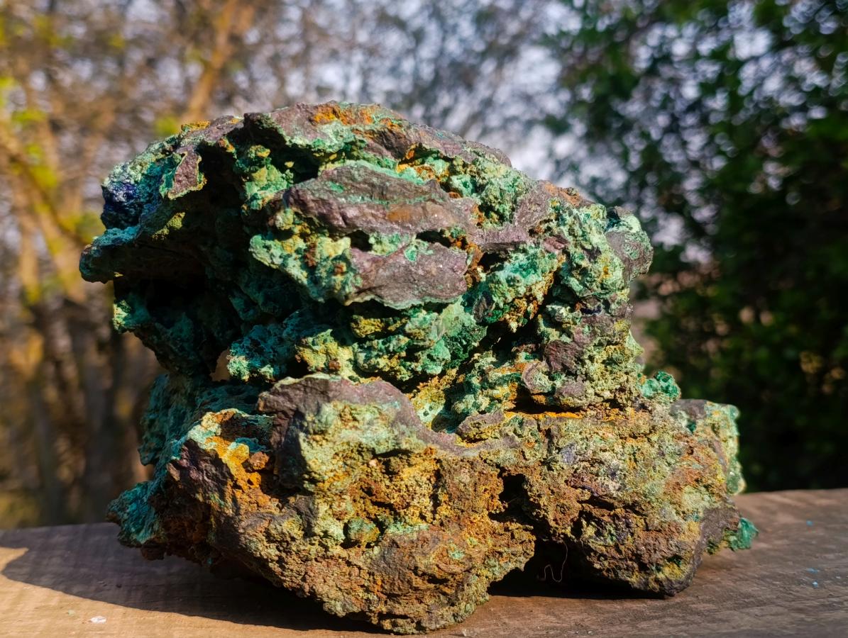 Natural XL Azurite Specimen with Cuprite and Malachite x 1 From Mashamba East Mine, Congo