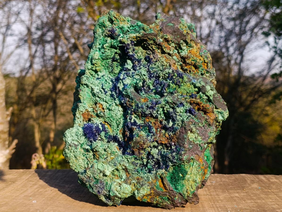 Natural XL Azurite Specimen with Cuprite and Malachite x 1 From Mashamba East Mine, Congo