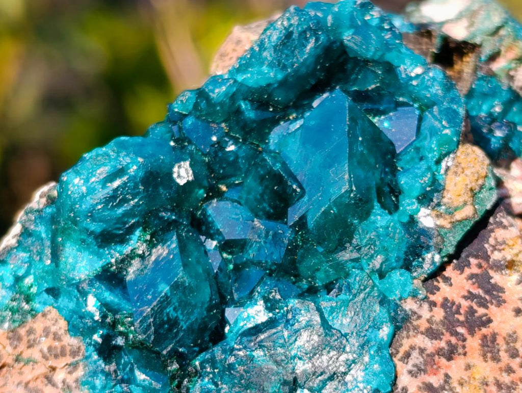 Natural Cabinet Size Dioptase Specimen on Dolomite Matrix x 1 From Mashamba East, Congo