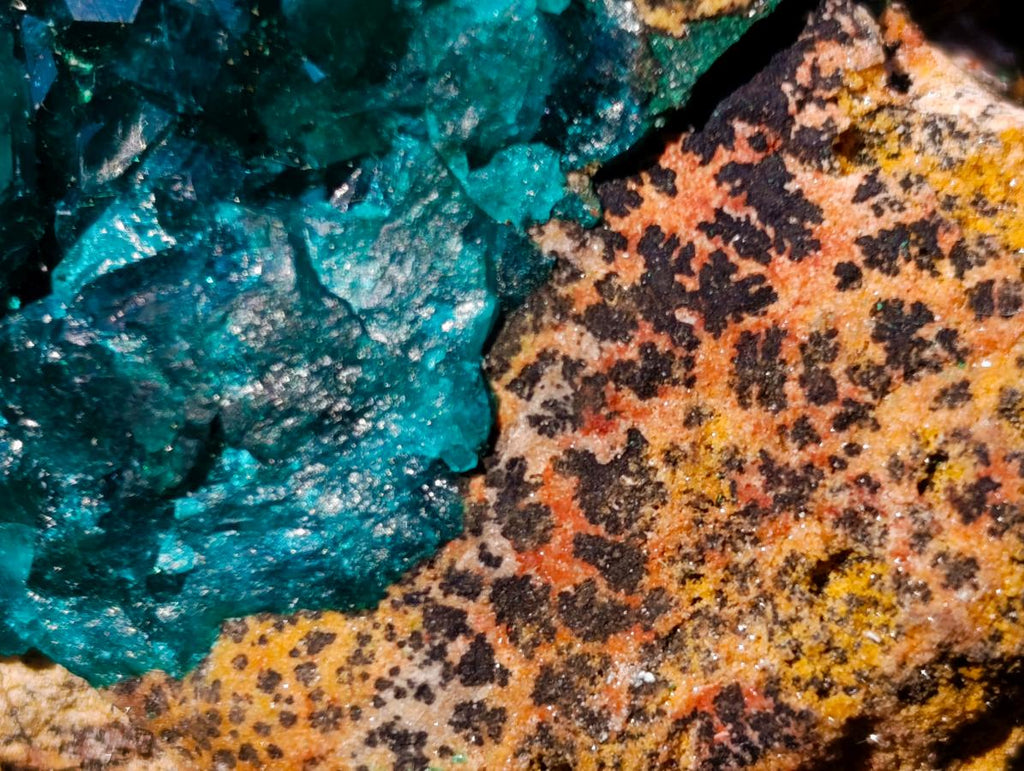 Natural Cabinet Size Dioptase Specimen on Dolomite Matrix x 1 From Mashamba East, Congo