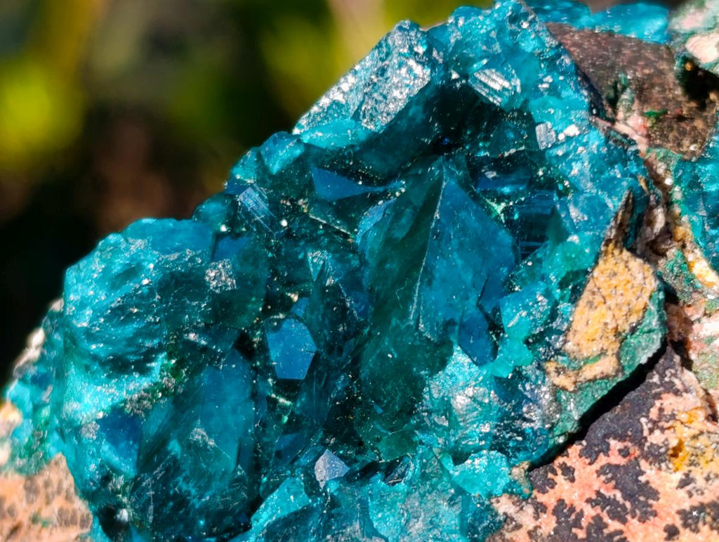Natural Cabinet Size Dioptase Specimen on Dolomite Matrix x 1 From Mashamba East, Congo