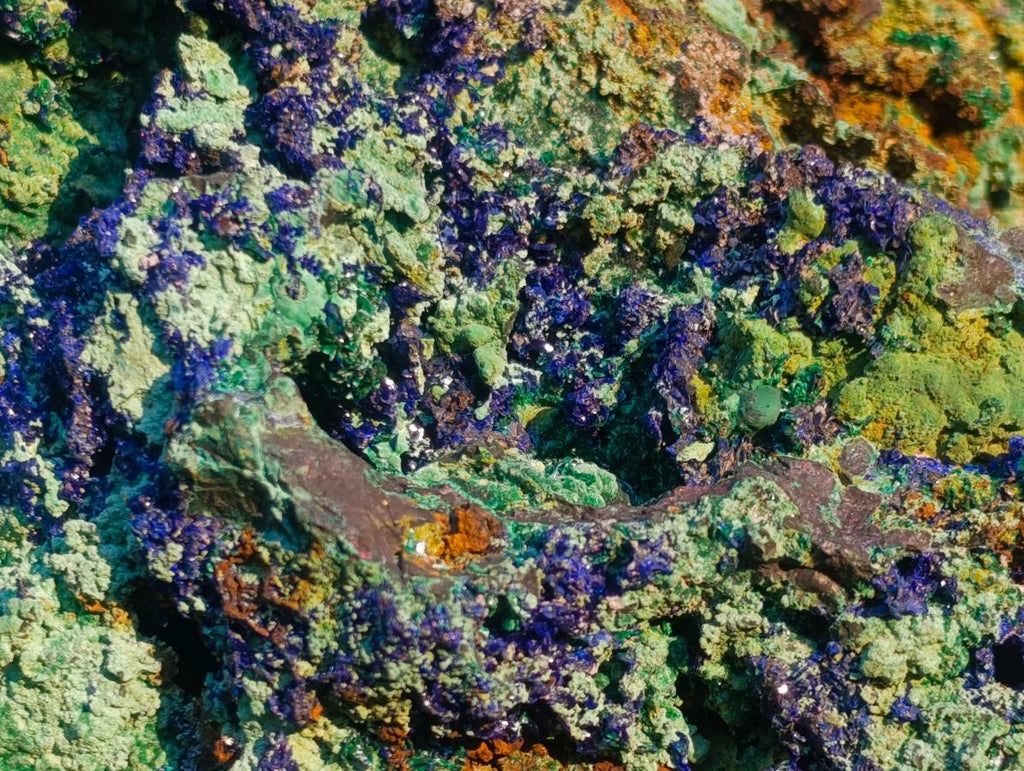 Natural XL Azurite Specimen with Cuprite and Malachite x 1 From Mashamba East Mine, Congo