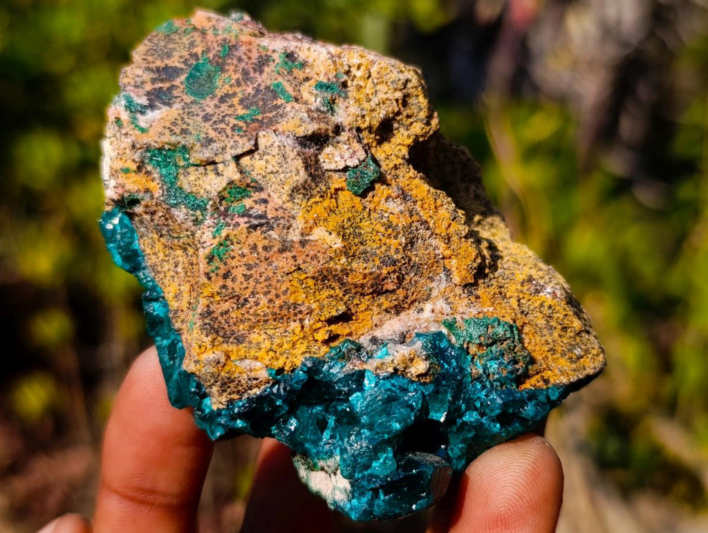 Natural Cabinet Size Dioptase Specimen on Dolomite Matrix x 1 From Mashamba East, Congo