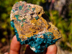 Natural Cabinet Size Dioptase Specimen on Dolomite Matrix x 1 From Mashamba East, Congo