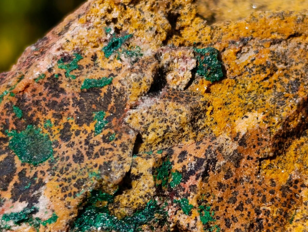 Natural Cabinet Size Dioptase Specimen on Dolomite Matrix x 1 From Mashamba East, Congo