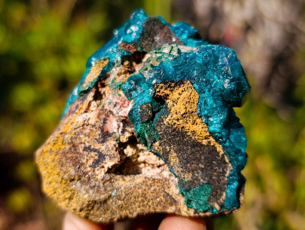 Natural Cabinet Size Dioptase Specimen on Dolomite Matrix x 1 From Mashamba East, Congo