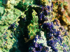 Natural XL Azurite Specimen with Cuprite and Malachite x 1 From Mashamba East Mine, Congo