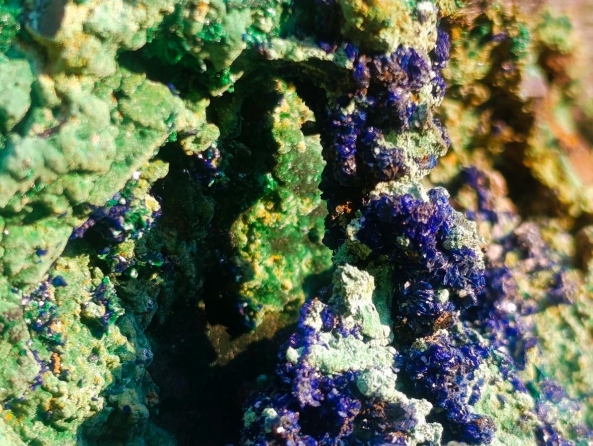 Natural XL Azurite Specimen with Cuprite and Malachite x 1 From Mashamba East Mine, Congo