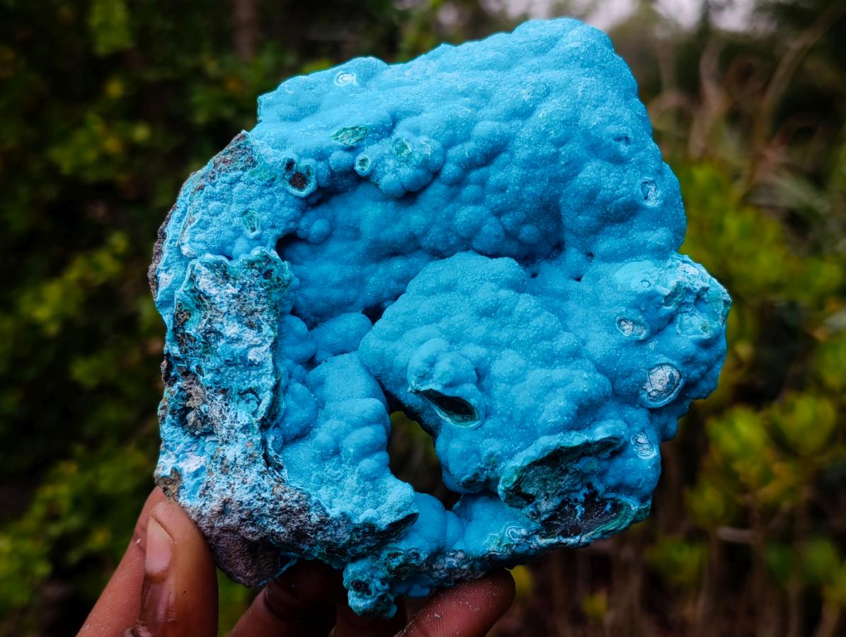 Natural Drusy Coated Botryoidal Chrysocolla Specimen on Dolomite Matrix x 1 From Kulukuluku, Congo