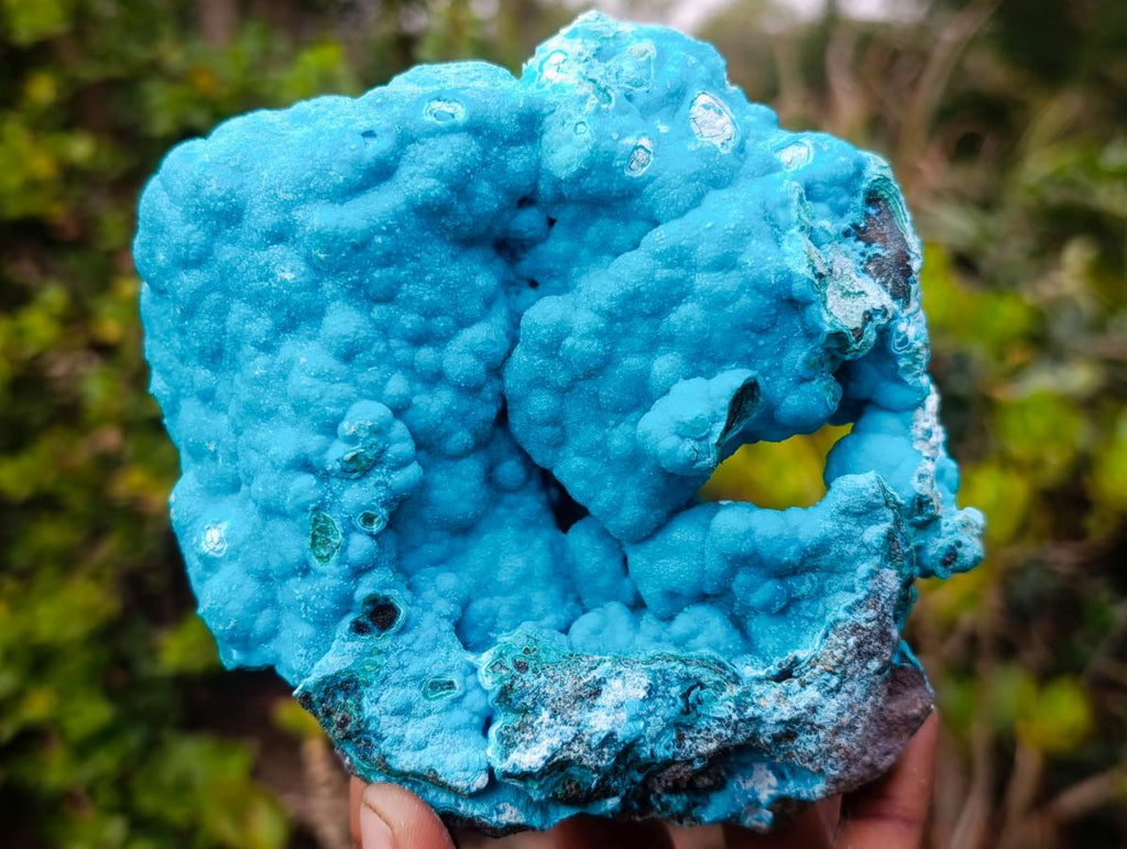 Natural Drusy Coated Botryoidal Chrysocolla Specimen on Dolomite Matrix x 1 From Kulukuluku, Congo