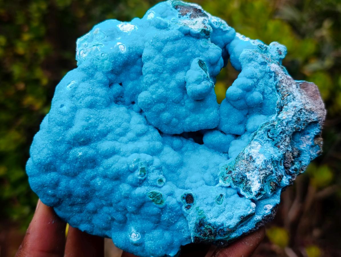 Natural Drusy Coated Botryoidal Chrysocolla Specimen on Dolomite Matrix x 1 From Kulukuluku, Congo