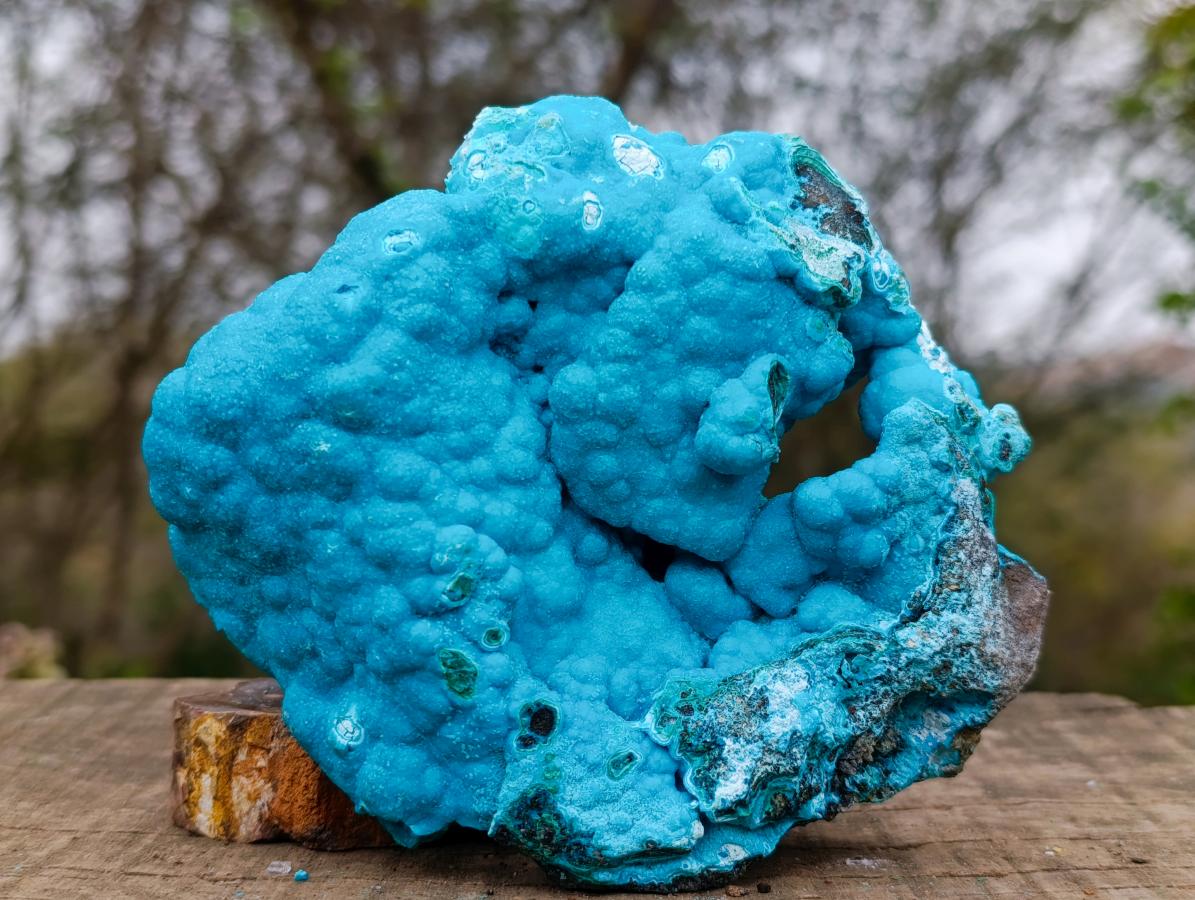 Natural Drusy Coated Botryoidal Chrysocolla Specimen on Dolomite Matrix x 1 From Kulukuluku, Congo