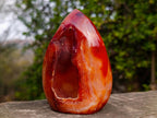Polished and Natural Carnelian Standing Display Piece x 1 From Madagascar