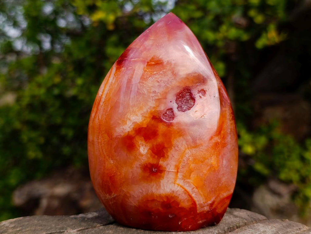 Polished and Natural Carnelian Standing Display Piece x 1 From Madagascar