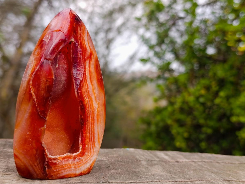 Polished and Natural Carnelian Standing Display Piece x 1 From Madagascar