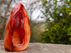 Polished and Natural Carnelian Standing Display Piece x 1 From Madagascar