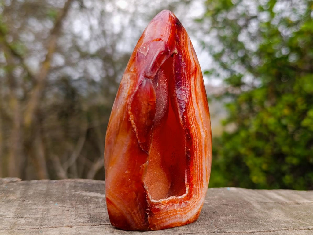 Polished and Natural Carnelian Standing Display Piece x 1 From Madagascar