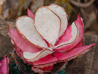 Hand Made Large Gemstone Art Twin King Protea Flower Ornament x 1 From South Africa