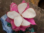 Hand Made Large Gemstone Art Twin King Protea Flower Ornament x 1 From South Africa