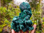 Natural Exquisite Velvet Malachite Stalactite Formation x 1 from Kasompe, Congo