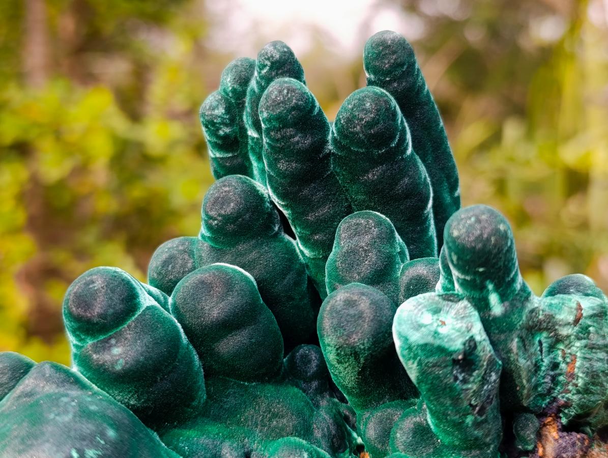 Natural Exquisite Velvet Malachite Stalactite Formation x 1 from Kasompe, Congo