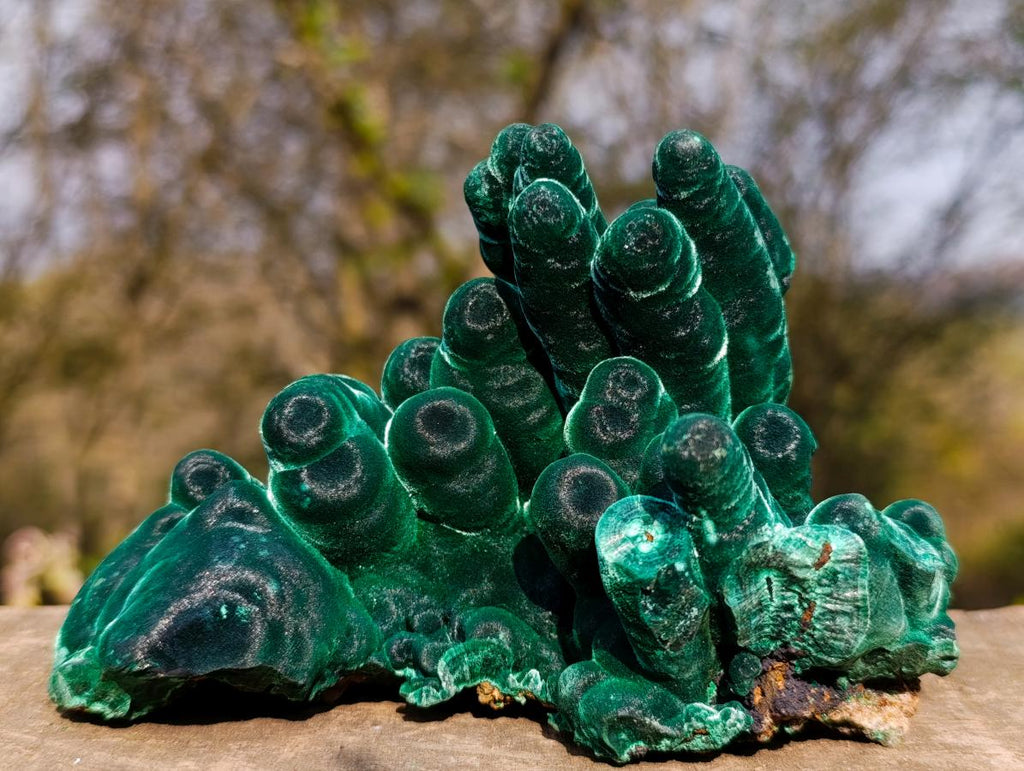 Natural Exquisite Velvet Malachite Stalactite Formation x 1 from Kasompe, Congo