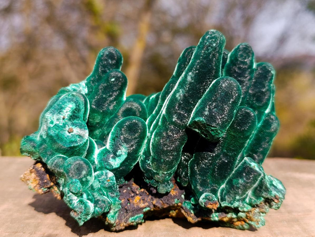Natural Exquisite Velvet Malachite Stalactite Formation x 1 from Kasompe, Congo