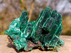Natural Exquisite Velvet Malachite Stalactite Formation x 1 from Kasompe, Congo