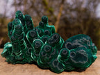 Natural Exquisite Velvet Malachite Stalactite Formation x 1 from Kasompe, Congo