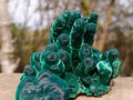 Natural Exquisite Velvet Malachite Stalactite Formation x 1 from Kasompe, Congo