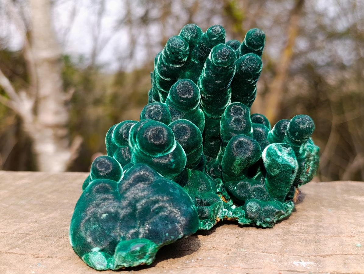 Natural Exquisite Velvet Malachite Stalactite Formation x 1 from Kasompe, Congo