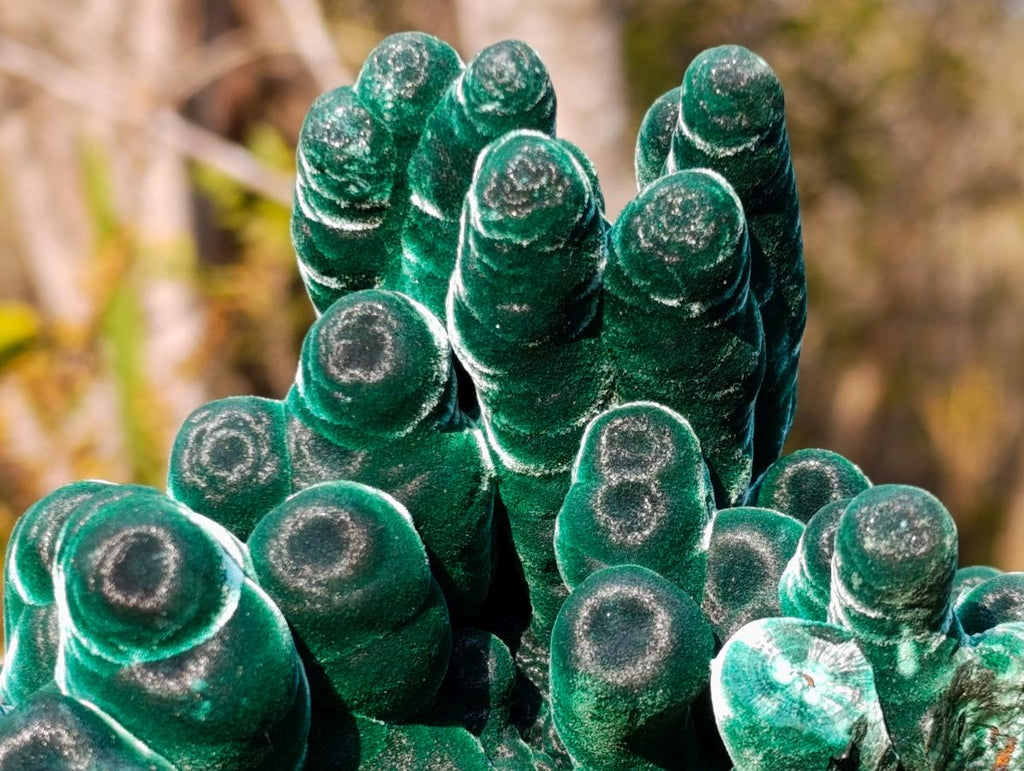 Natural Exquisite Velvet Malachite Stalactite Formation x 1 from Kasompe, Congo